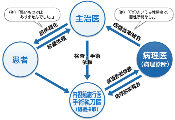 病理医と病理診断