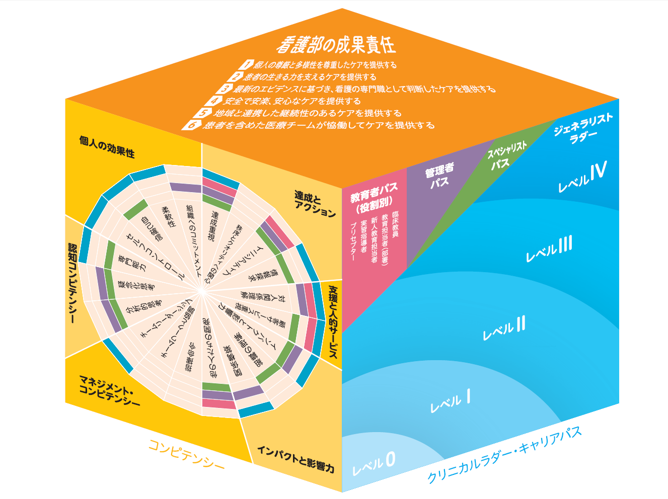 クリニカルラダーVer.2.png