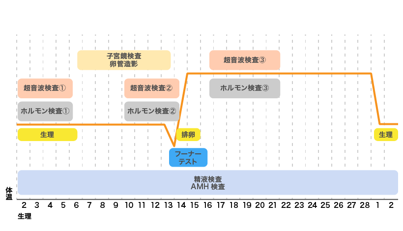 061（検査時期）.png