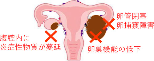 婦人科