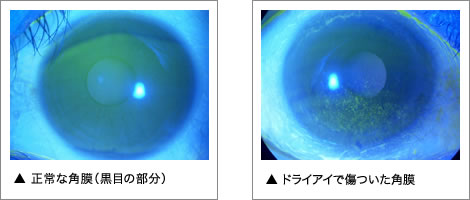 眼科