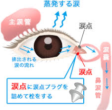 眼科