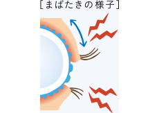 眼科