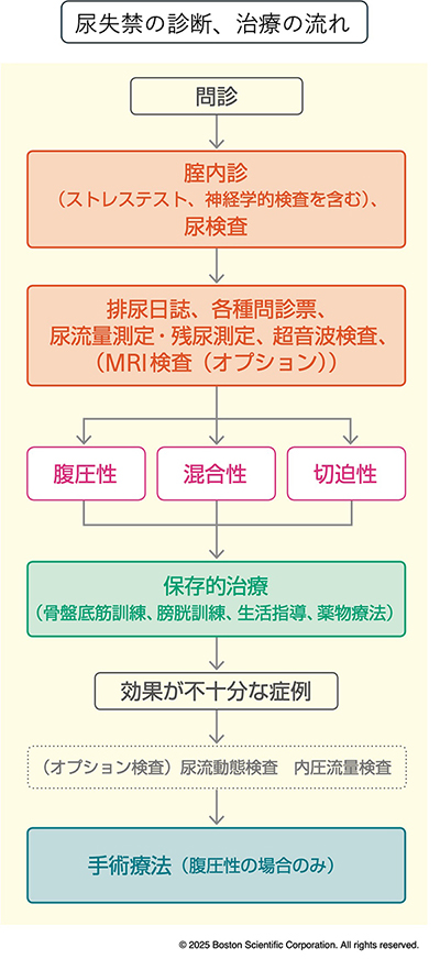 尿失禁の診断、治療の流れ