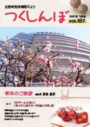 187.jpg
