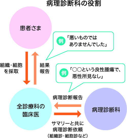 病理診断科の役割